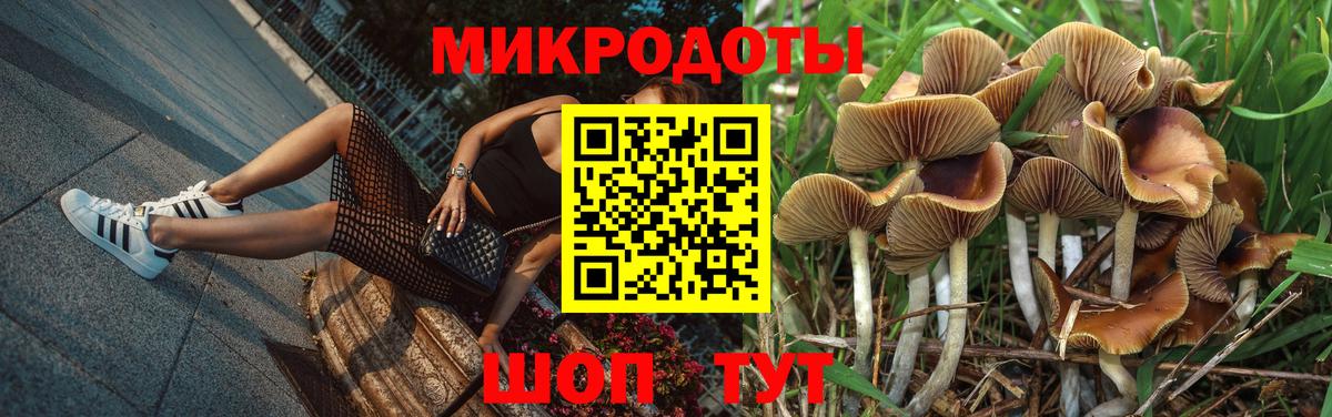 Галлюциногенные грибы ЛСД Туймазы